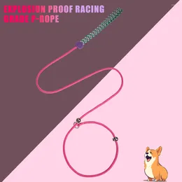 Hundehalsbänder 1PC Buntes Trainingsseil LEASH Der Strampler Premium -Qualitätsschlupf Blei für Haustiere bequem für Haustiere