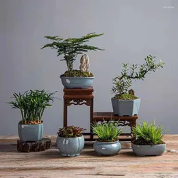 Vasi Cina Yixing Flower Pots Alabastro in ceramica Mini Ge Kiln Celadon Decorazione per la casa Vaso Green Plant