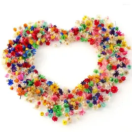 Dekorative Blumen 100-500 PCs Multicolor Mini getrocknetes DIY-Kunsthandwerk Epoxidharz Kerzenherstellung Schmuck Home Party