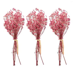 Fiori decorativi 3 mazzi secchi bouquet fiore pianta naturals mini albero di Natale artificiale