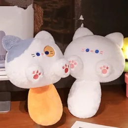 New Cat Tuanzi Plush Doll Cross Border Cat Cat Cat Bed Bed Bed Sleeping Dolly Hight Home Gloy Gholesale