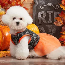 Hundkläder halloween husdjursklänning söt snygg tryckdräkt för julfest tema dagliga kläder