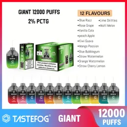 New Style High Performance Fruit Flavors Disposable E Cigarette 12k Puffs 9k Puffs Disposable Vape Closed Prifilled Pod 12000 Puff with Type-C Port