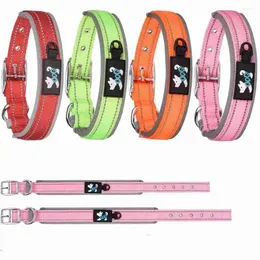 Abbigliamento per cani Collaro riflettente CATTO REGOLABILE NYLON CATTEN COTTEN CON ACCESSORI CACCOLA PET CUPPY PER PICCOLO CHIHUAHUA