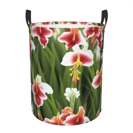 Worki do prania Gladiolus Flower Print Druku