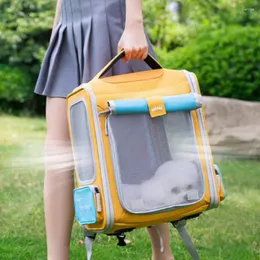 Cat Carriers Portable Large Space Dogs Carry Bag Travel Handbag Breathable Bags Unique Outdoor Pets Soft Kedi Malzemeleri Pet Supplies