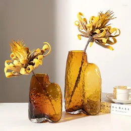 Vazolar Avrupa Kahve Renk Özel Şeffaf Gözlü Cam Vazo Yatak Odası Masaüstü Süsler Çiçek Düzenleyicileri Ev Dekorasyonları