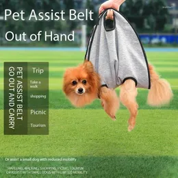 Cinturão Auxiliar de Pet portador de cães Forte arnês elástico para deficiência