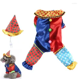 Odzież z ubrania w kształcie klauna dostarcza małe stroje z kapturem ubrania dla zwierząt ubrań ubrania Halloweenowe sukienki dla psów