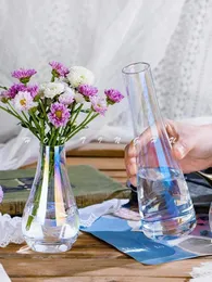 Вазы скандинавский минималистский стиль. Объем стеклянного вазы гидропонная цветочная установка гостиная
