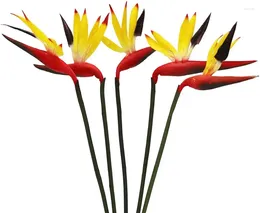 Fiori decorativi 5 pezzi Bird of Paradise Pianta artificiale piante da vegetazione da 23 pollici bouquet di fiori finti per decorazioni per la festa di nozze