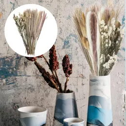 Dekorative Blumen 72pcs getrocknete Pampas -Grasdekor -Arrangements Plant Bouquet für Vase