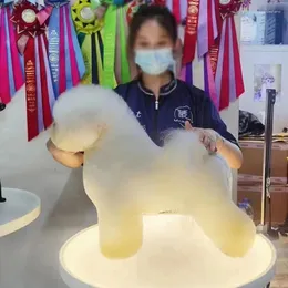 Hundekleidung Luminhaltertisch Haustier Schönheit Luftdruck heben rotatierbarer Teddy Scherkosmetik