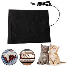 Carpets Waterproof USB Heated Car Seat Mat Cushion For Winter Warmth - Pet Reptile Climbing Outdoor Heating Pad B2X6