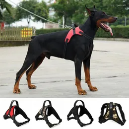 Collari per cani animali domestici Durevoli imbracature a prova di esplosione per la corda di sicurezza del torace ad addestramento per camminata all'aperto