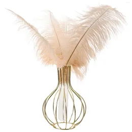 Vases Ornaments Big Feathers Home Decoration Wedding DIY Craft Making Plumes Pretty Ostrich Faux Vase Daily