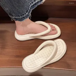 Terlik Yaz Flip Flops Moda Kadınlar Düz Tasarımcı Sandalet Sandalları Zapatos de Mujer için Lüks Ayakkabı