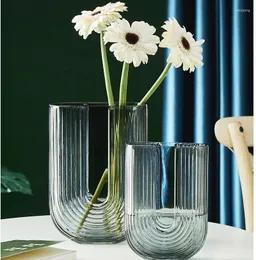 Vases European Minimalist Glass Vase Home Living Room Dining Table Ornaments Insert Bottle Ornament Water Culture Flowers