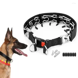 Hundhalsar i rostfritt stål Stimulerande träningshalsband Pet Choke Pinch Collar med Buckle Metal P -kedja för medelstora stora hundar saker