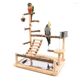 Andere Vogelversorgung natürlicher lebendiger Spielplatz für Papageienschwung Klettern Playstand Barches 594c