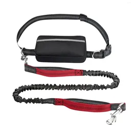 Dog Collars Modern Minimalist Pet Sports Running Waist Bag Set Outdoor Walking Reflective Retractable Leash Personalized Compact