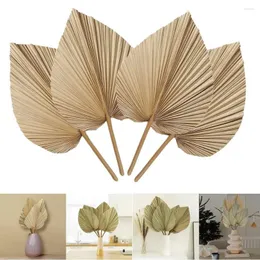 Decorative Flowers Natural Dried Palm Leaves Are Perfect Boho Decor Home Room Wedding Table Garden Decoration Dry To Make Bouquets
