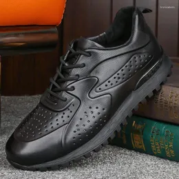 Casual skor 2024 sneakers man äkta läder promenad män mesh komfort ventilera manliga skor