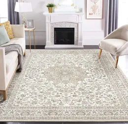 Mattor Area Rug Living Room Rugs: 8x10 Stor maskin Washable Non Slip Thin Carpet Soft inomhus lyxblommig fläckbeständig fo