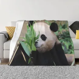Battaniyeler Fubao Panda Fu Bao Hayvan Battaniyesi Yumuşak Peluş Sherpa Kolay Bakım Makinesi için Atış Uygun Fiyatlı