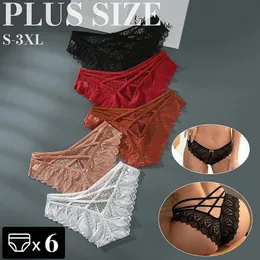 Cinvik 6pcs sexy Spitzenhöche weibliche Unterwäsche Frauen Dessous Plus Size Slips Low Taille Intimates Comfort Tangas S3XL 240407