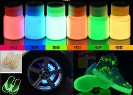 Glitter in polvere di fosforo di pigmento luminoso da 100 g/lotto, pigmento fotoluminescente 10 colorix10g bagliore di rivestimento per unghie di rivestimento notturno