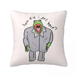 Pillow Kermie Got No Clue Where He Is Throw Luxury Living Room Decorative S Pillows Aesthetic Couch