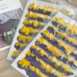 Fiori decorativi 250pcs secchi pressati giallo viola pansy corydalis suaveolens hance piante fiorite erbario per segnalibri cartoline di gioielli