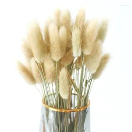 Decorative Flowers Tail Dried Flower Eternal Suitable For Home Decoration Art Collocation DIY