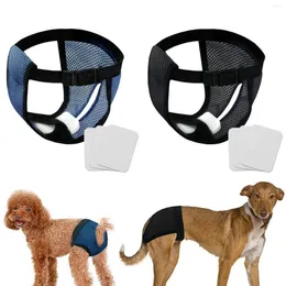 Hundkläder Kvinnliga fysiologiska byxor Diaper Sanitary Washable Trosies Pet Shorts Underwear Briefs For Puppy Dogs 3st