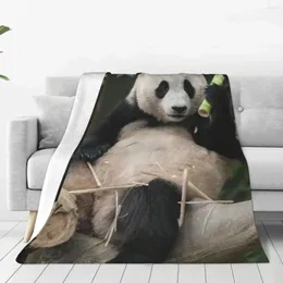 Blankets Fubao Panda Fu Bao Animal Blanket Warm Cozy Sherpa Throw For Bedding Travel Camping