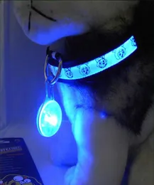 Pet Puppy Night LED Collar Pingente Pet Supplies Kitten Safety Aviso Luz de caminhada Buckpack Buckle Waterproof2149942