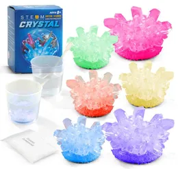 Crystal Growing Science Kit sperimentale di novità giocattoli Easy fai -da -te STEM TOY Lab Experiments Educational Gift Educational for Kids Teens B8788270