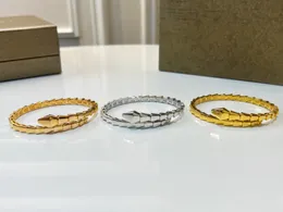 Bracciale oro di alta qualità Bracciale sottile per le donne adorano top v-gold 18k Bracciale d'argento Open Open Wedding Gioielli per regalo con scatola