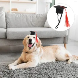 Cappello di laurea per criceti Abbigliamento per cani Cappello decorativo cministino con tassel Sagni S