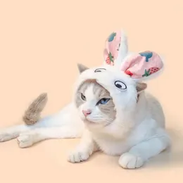 Ubrania dla psów truskawkowa czapka pluszowa kotek zabawny kostium Halloween dla małych psów koty