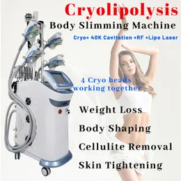 Cryolipolysis الدهون تجميد الجسد الجسد آلة التخسيس الفراغ فقدان الوزن فقدان الرؤوس كبريدات مزدوجة إزالة الذقن 4 رؤوس البرد
