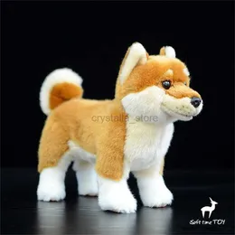 Filmer TV Plush Toy Shiba Inu High Fidelity Anime Söt Plushie Japanese Akita Dog Plush Toys Livlägsna djur Simulering fylld dockan Kawai Toy Gift 240407