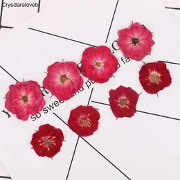 Fiori decorativi 120pcs Pressa pressata filler di fiori di rosa secca per gioielli a pendente a pendente in resina epossidica che producono accessori fai -da -te artigiani