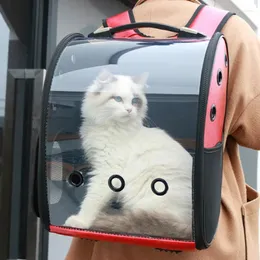 고양이 캐리어 애완 동물 공간 가방 PVT 아웃 어깨 휴대용 투명 운송 이동 여행 통기 개 배낭