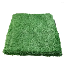 Decorative Flowers Durable Artificial Grass Mat 2cm Thickness DIY Green Lengthened Micro Landscaping PP PE Simulated For School