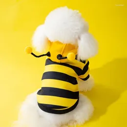 Köpek giyim arı değişen takım elbise küçük ve iki parçalı bahar kedi süveteri kapüşonlu evcil hayvan
