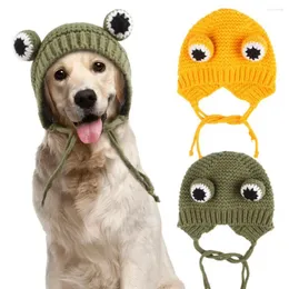 Hundkläder hatt söt tecknad husdjur stickad vinterdekoration för hundar katter fest po props tillbehör varm