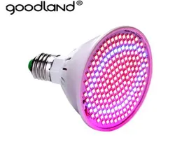 LED Grow light Full Spectrum Fitolamp Hydroponics Phyto lamp Sunlight For Vegetable Flower Seedings Greenhouse Plant Lighting2621234