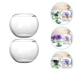 Vasos 2 PCs Micro paisagem garrafa de vidro garrafa de recipiente Luzes de chá do portador Flor Landsca ecológica Clear Vase Display Drop Drop Delting Dhobz